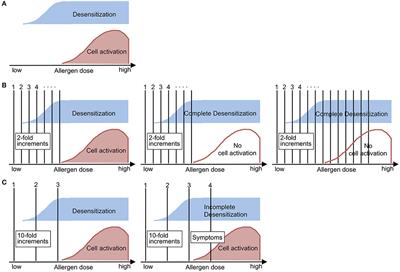 Findings of in vitro Analyses of Basophil Functions May Help Us Better Understand Drug Desensitization